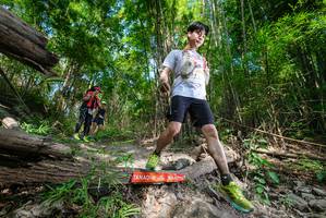 BIB: 
                            <button type="button" onclick="openModal(19389075)" class="btn btn-primary btn-sm float-right btn-popup" data-toggle="modal" data-target=".modal-high-quality">
                        <i class="fas fa-shopping-cart"></i> Add to Cart
                    </button>
                                            <button type="button" onclick="isThisMe(19389075, true)" class="btn btn-success btn-sm float-right btn-popup btn-isme hidden" data-toggle="tooltip" data-placement="bottom" title="นี่คือรูปของคุณใช่ไหม คลิกที่นี่เพื่อเอาเข้าอัลบั้ม">
                        <i class="fas fa-plus"></i> Add to album
                    </button>
                    <button type="button" onclick="isThisMe(19389075, false)" class="btn btn-warning btn-sm float-right btn-popup btn-isnotme hidden">
                        <i class="fas fa-ban"></i> Remove from album
                    </button>